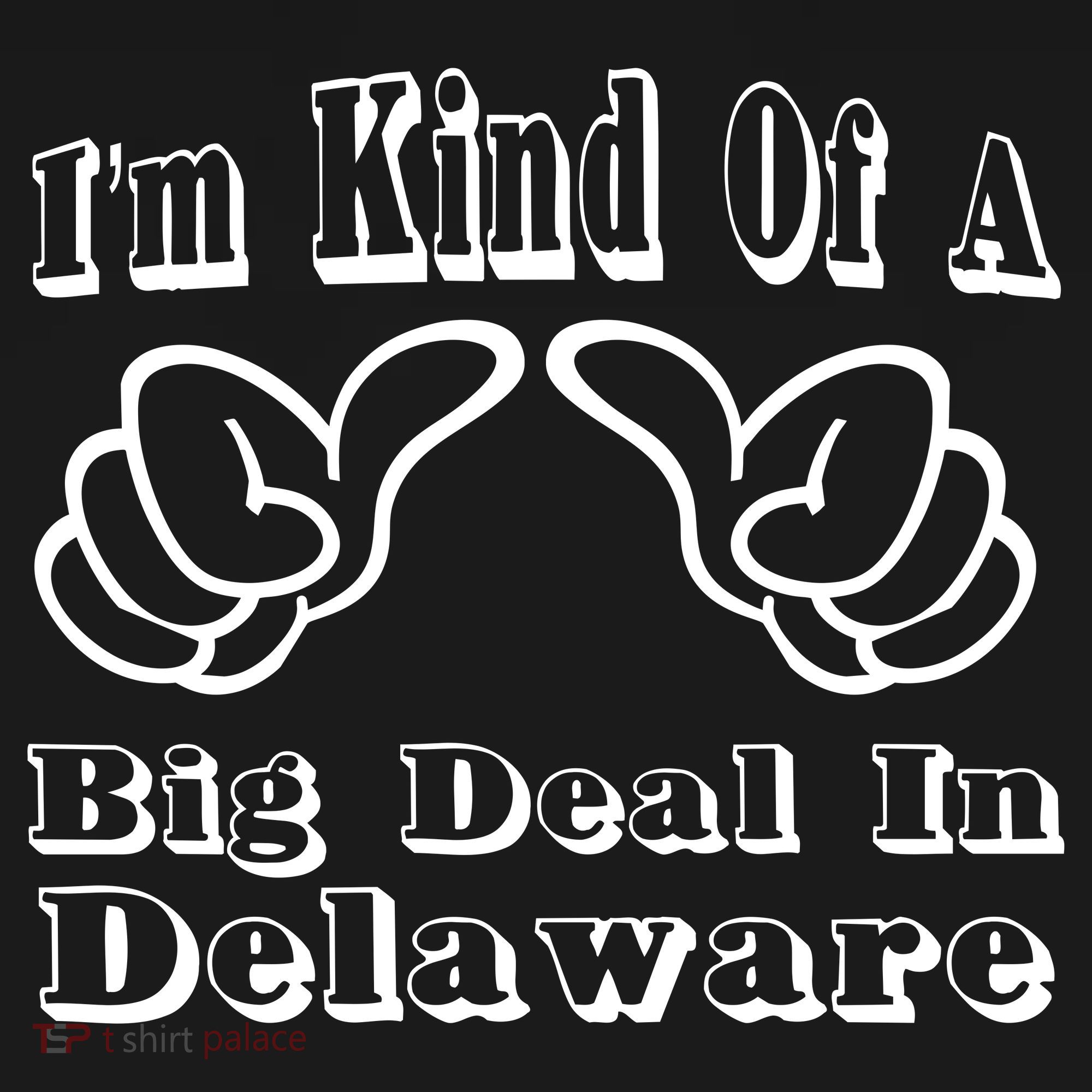 Delaware Big Deal Women's Tank Top
