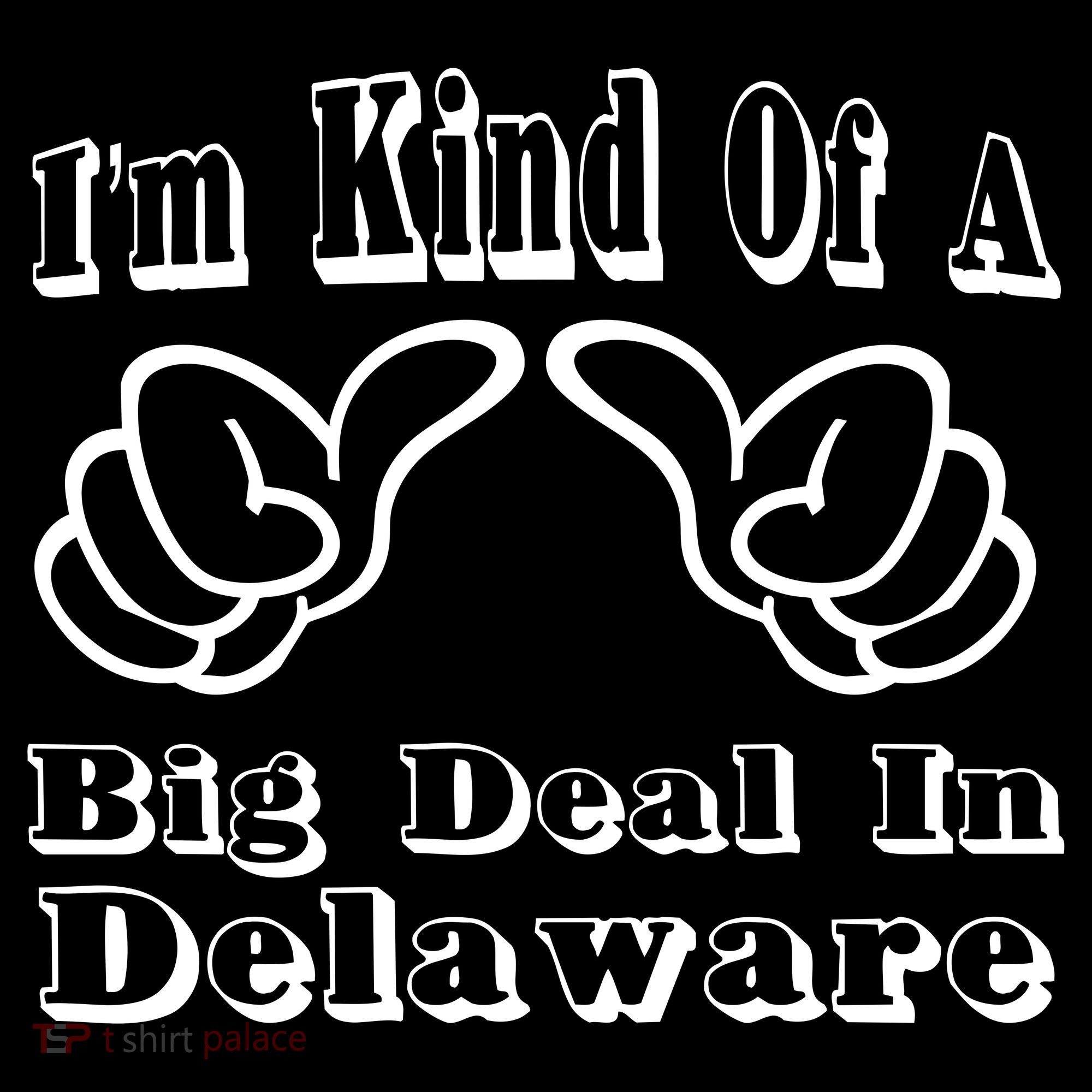 Delaware Big Deal Toddler Hoodie