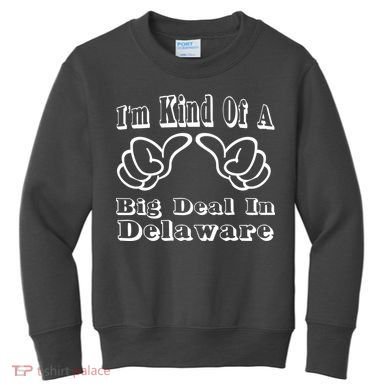 Delaware Big Deal Kids Sweatshirt