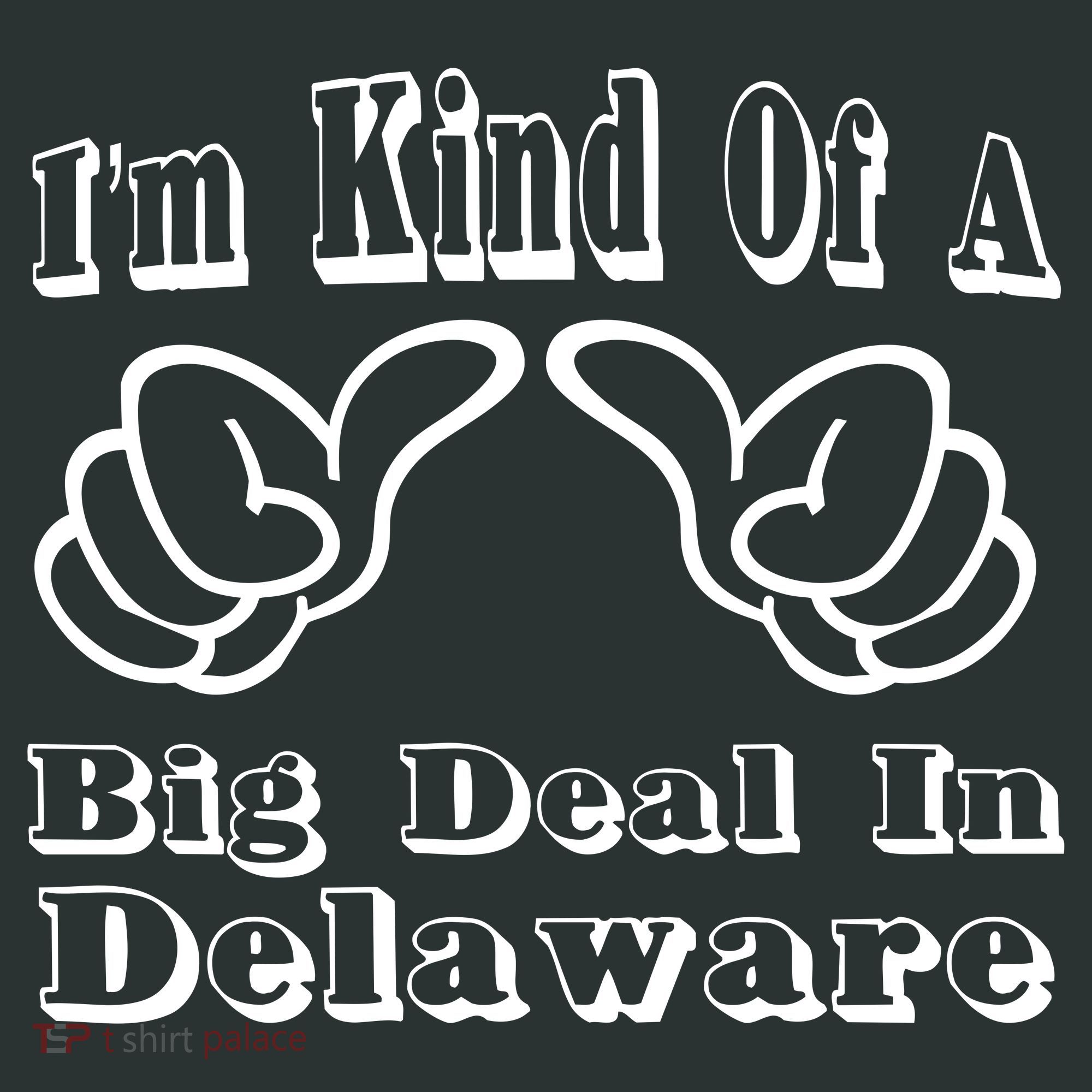 Delaware Big Deal Kids Sweatshirt