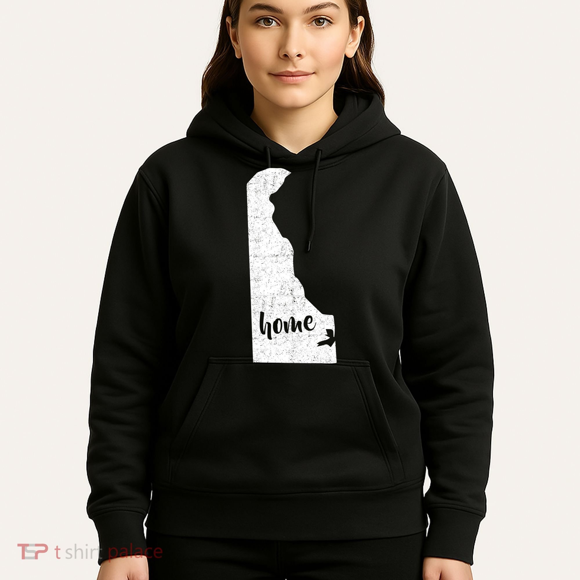 Delaware Home State Hoodie