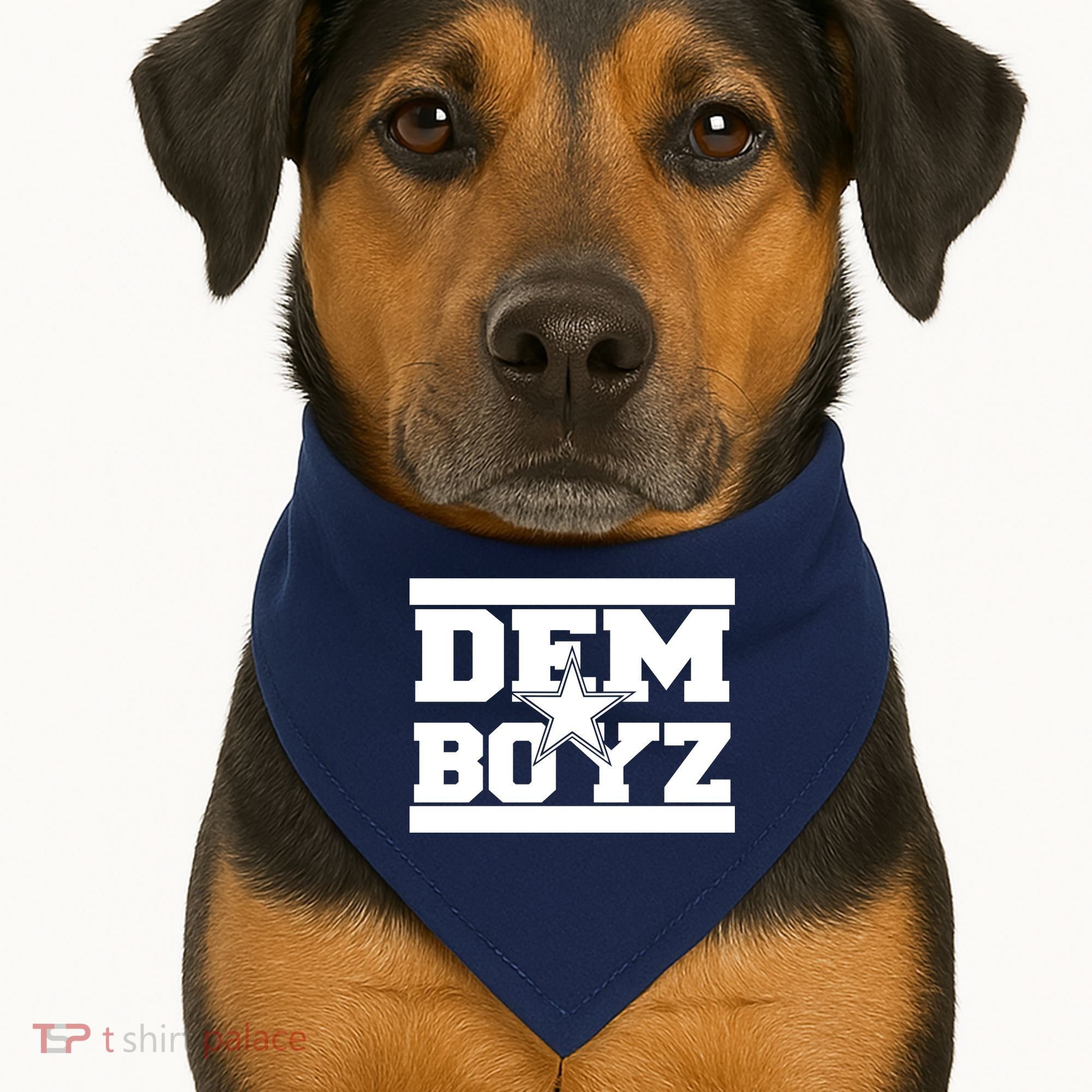 Dem Boyz Boys Dallas Texas Star Fan Pride USA-Made Doggie Bandana