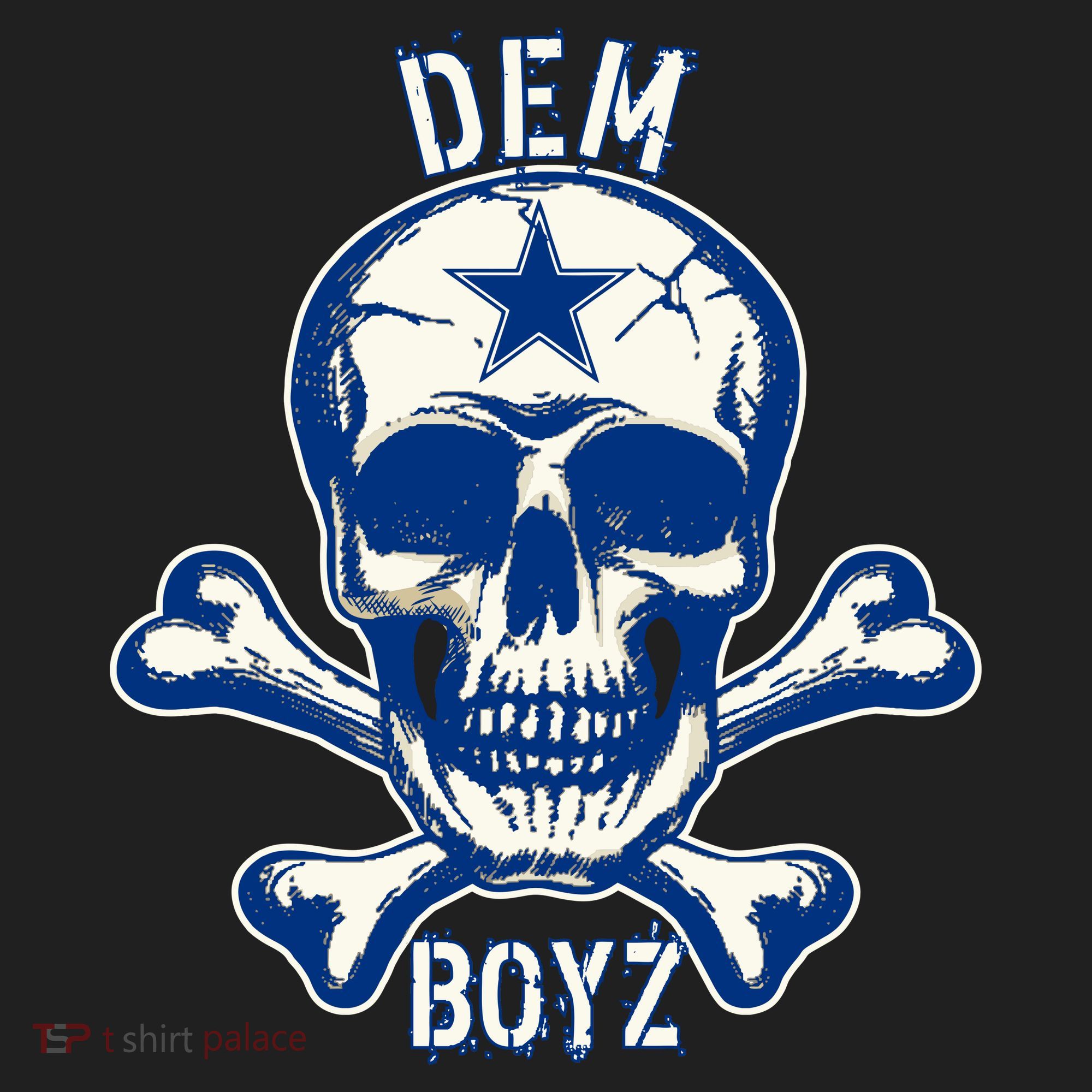DEM BOYZ Dallas Skull Crossbones Star Texas Fan Pride Tumbler