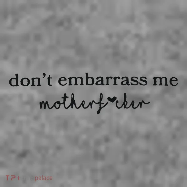 Dont Embarrass Me Toddler Hoodie
