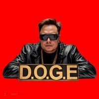 Doge Elon Musk Santa Hat thumb 1