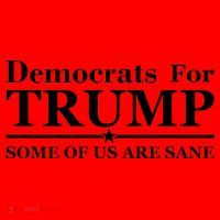 Democrats For Trump Some Of Us Are Sane Santa Hat thumb 1