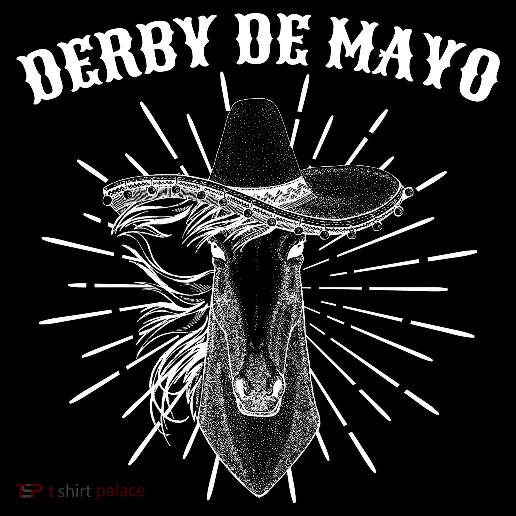 Derby De Mayo Horse  Polo