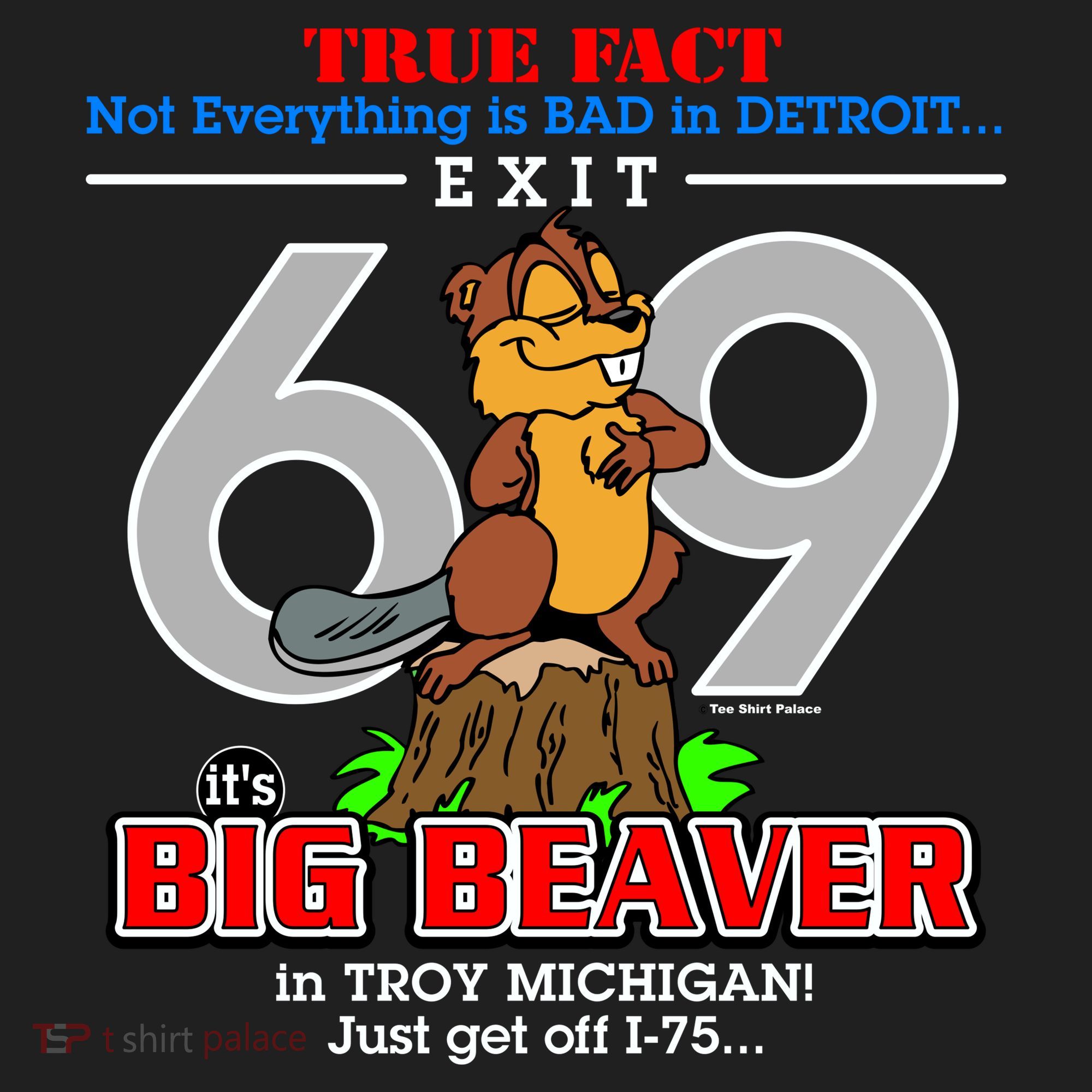 Detroit True Fact Big Beaver Exit 69 Tumbler
