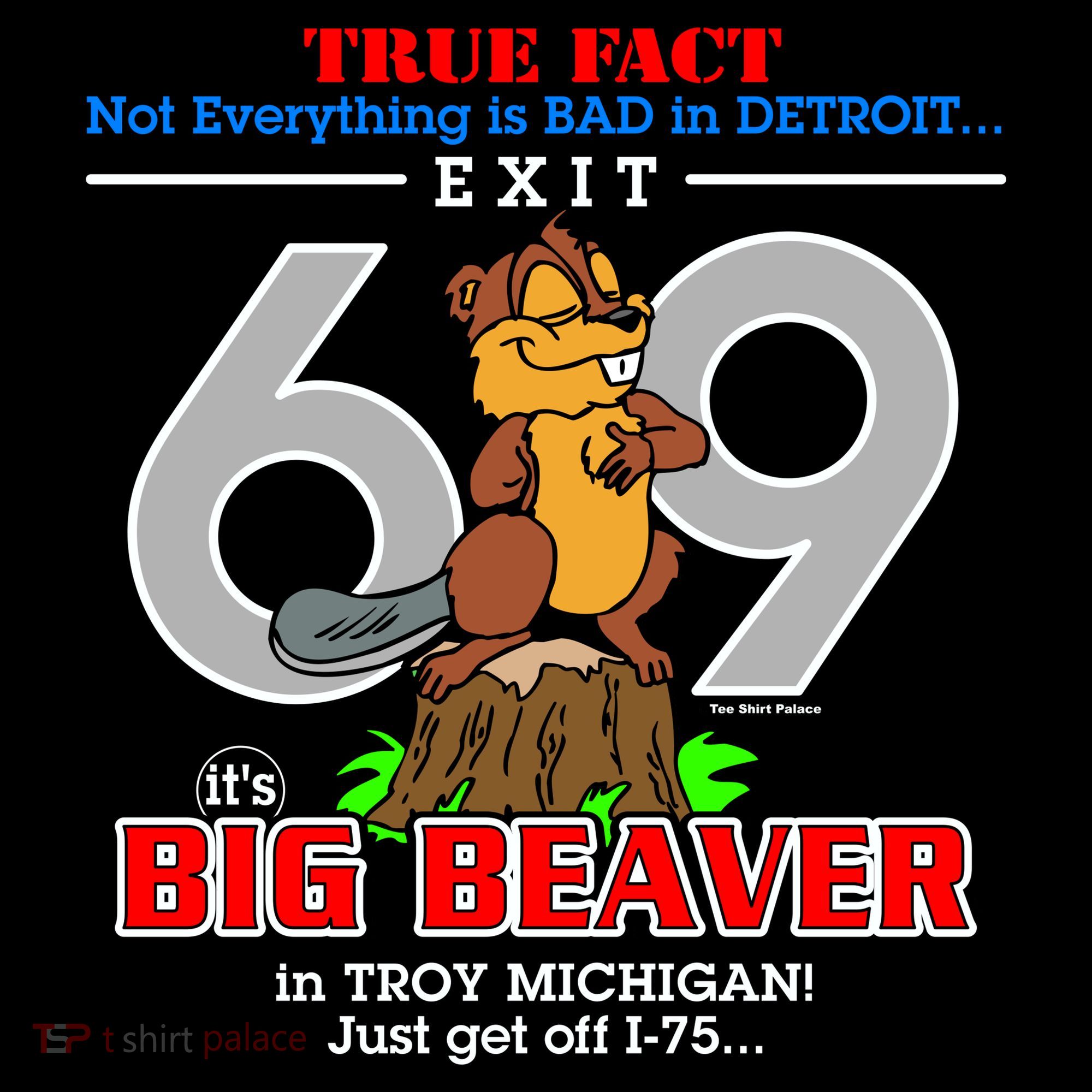 Detroit True Fact Big Beaver Exit 69 Ornament