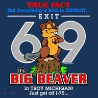 Detroit True Fact Big Beaver Exit 69 Beanie thumb 2