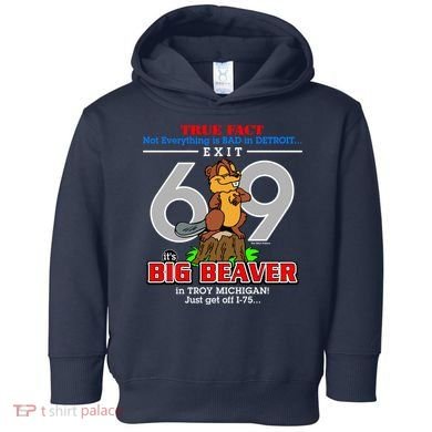 Detroit True Fact Big Beaver Exit 69 Toddler Hoodie