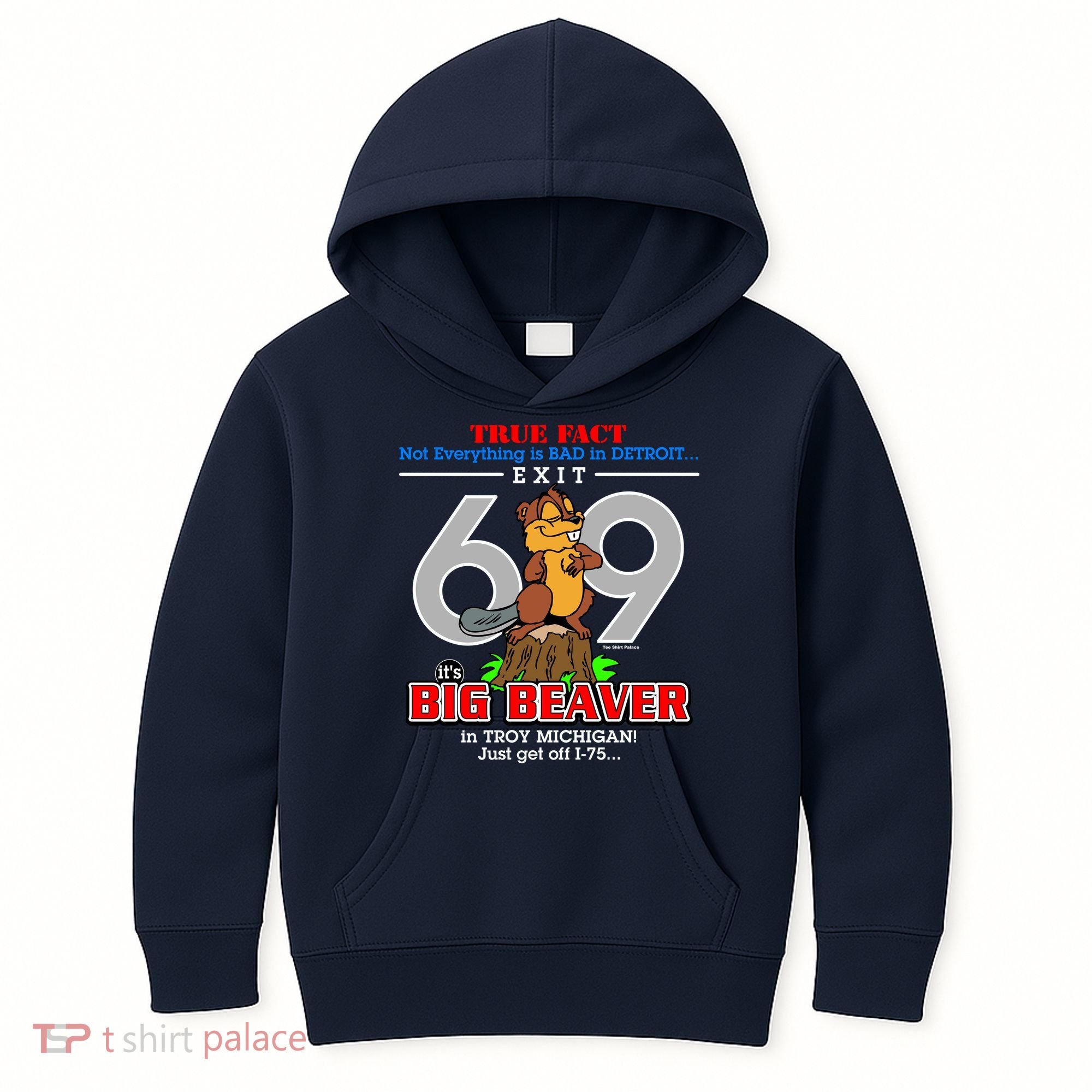 Detroit True Fact Big Beaver Exit 69 Kids Hoodie