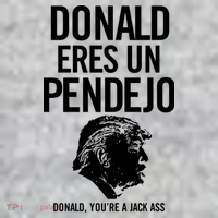 Donald Eres Un Pendejo Jack Ass The Baniff Cuffed Pom Beanie thumb 2