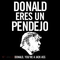 Donald Eres Un Pendejo Jack Ass Women's Tri-Blend 3/4-Sleeve Raglan Shirt thumb 4
