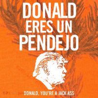 Donald Eres Un Pendejo Jack Ass Kati Licensed 12" Camo Cuffed Beanie thumb 2