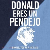 Donald Eres Un Pendejo Jack Ass Raglan Baseball Sleeve Shirt thumb 2