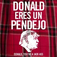 Donald Eres Un Pendejo Jack Ass Men's Flannel Plaid Pajama Pants thumb 2