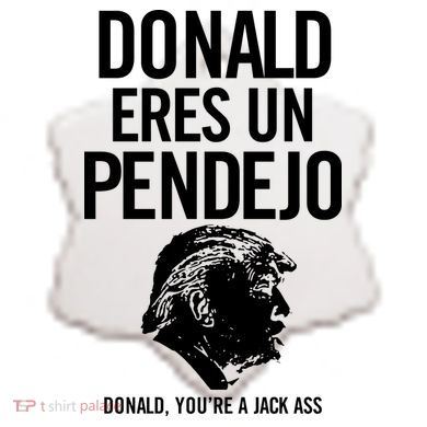 Donald Eres Un Pendejo Jack Ass Ceramic Ornament