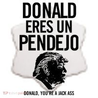 Donald Eres Un Pendejo Jack Ass Ceramic Ornament thumb 2