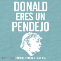 Donald Eres Un Pendejo Jack Ass Sueded Cloud Jersey T-Shirt thumb 2
