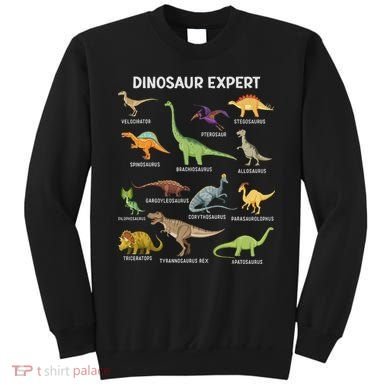 Dinosaur For Adult Cute Dinosaur Sweatshirt