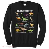 Dinosaur For Adult Cute Dinosaur Sweatshirt thumb 0