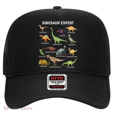 Dinosaur For Adult Cute Dinosaur Hat
