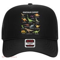 Dinosaur For Adult Cute Dinosaur Hat thumb 0