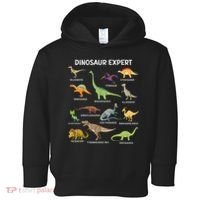 Dinosaur For Adult Cute Dinosaur Toddler Hoodie thumb 0