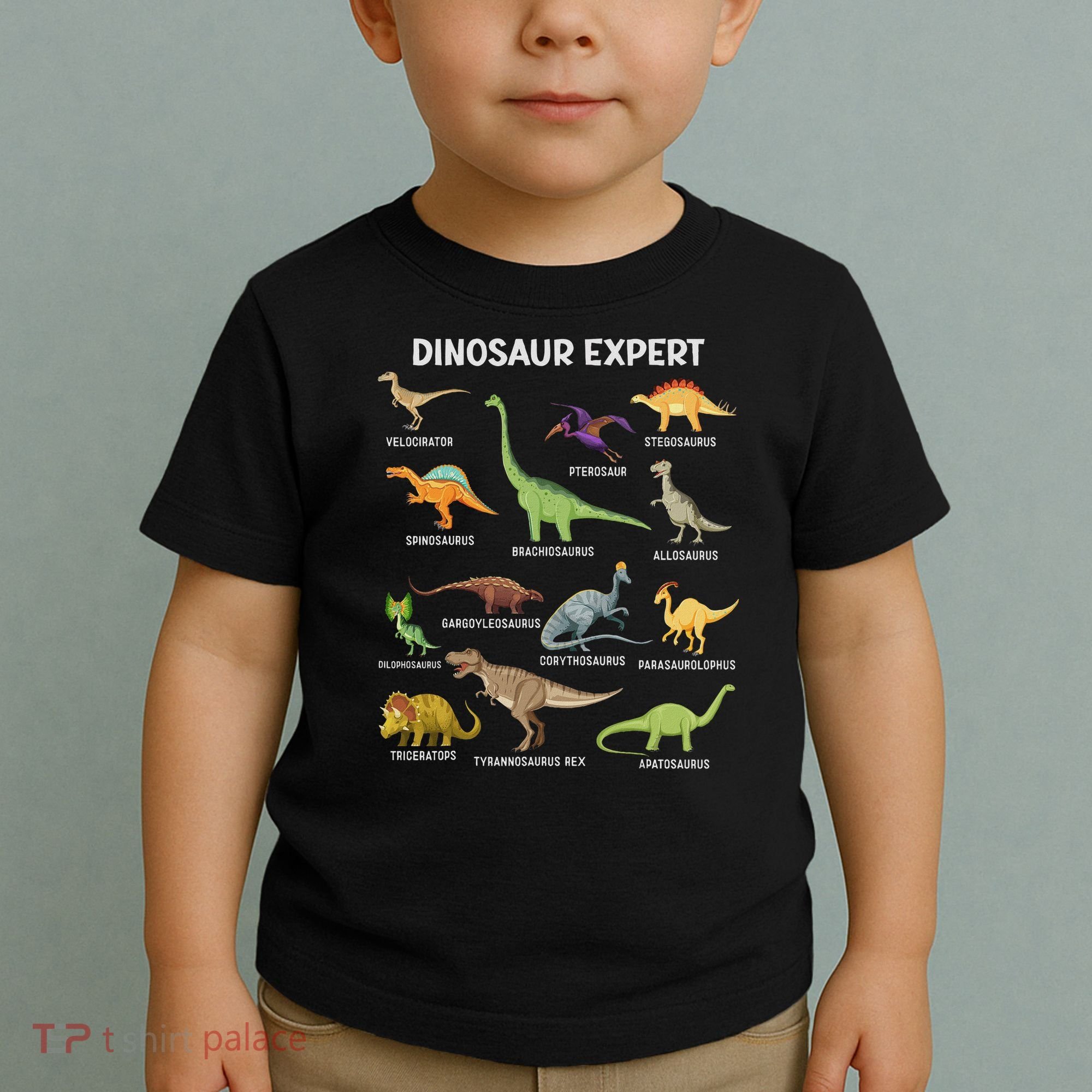 Dinosaur For Adult Cute Dinosaur Toddler T-Shirt