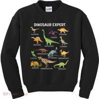 Dinosaur For Adult Cute Dinosaur Kids Sweatshirt thumb 0