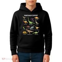 Dinosaur For Adult Cute Dinosaur Kids Hoodie thumb 4