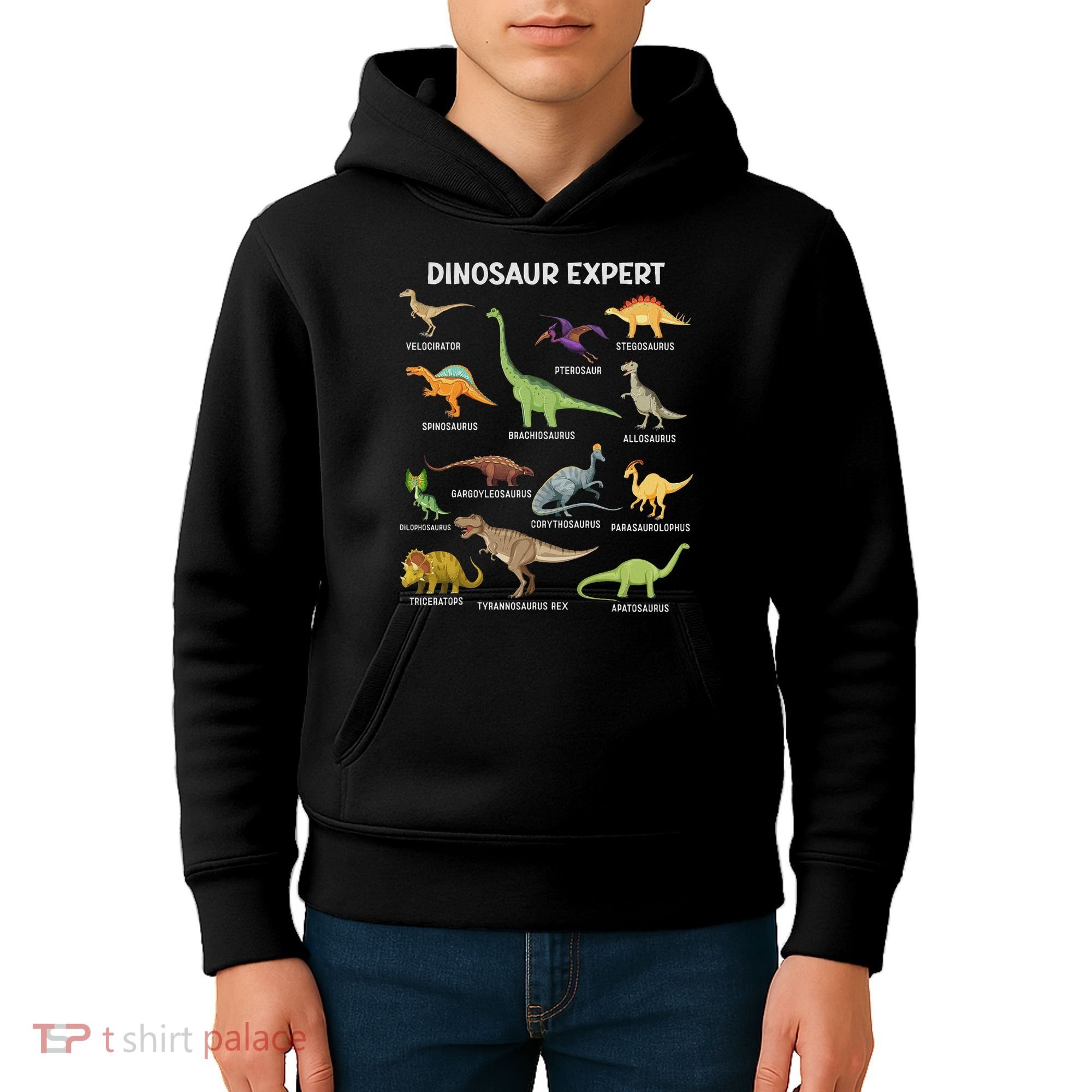 Dinosaur For Adult Cute Dinosaur Kids Hoodie