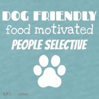 Dog Friendly Food Motivated People Selective Pet Dog Lover Sueded Cloud Jersey T-Shirt thumb 2