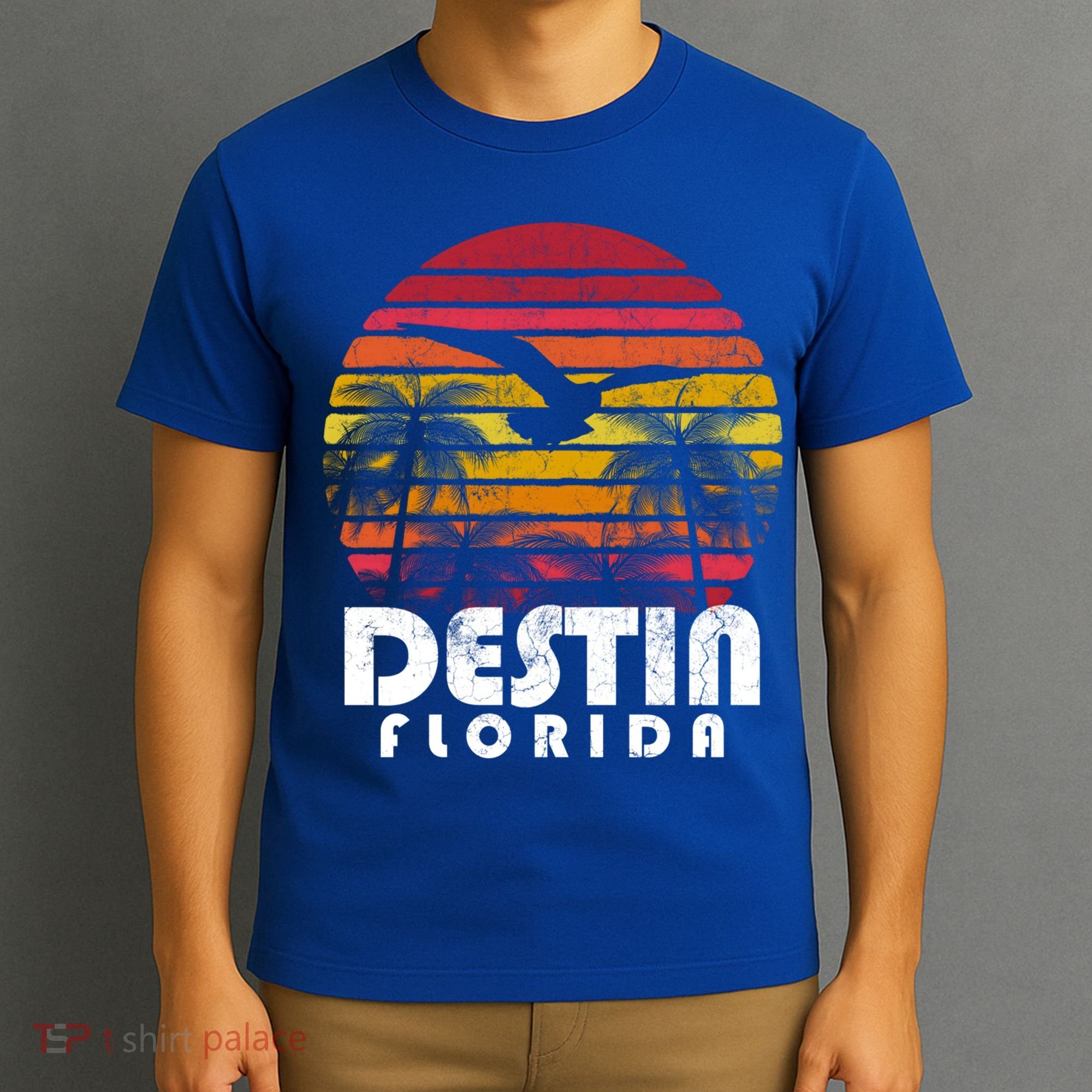 Destin Florida Fl Vintage Retro 70's 80's Style Meaningful Gift T-Shirt