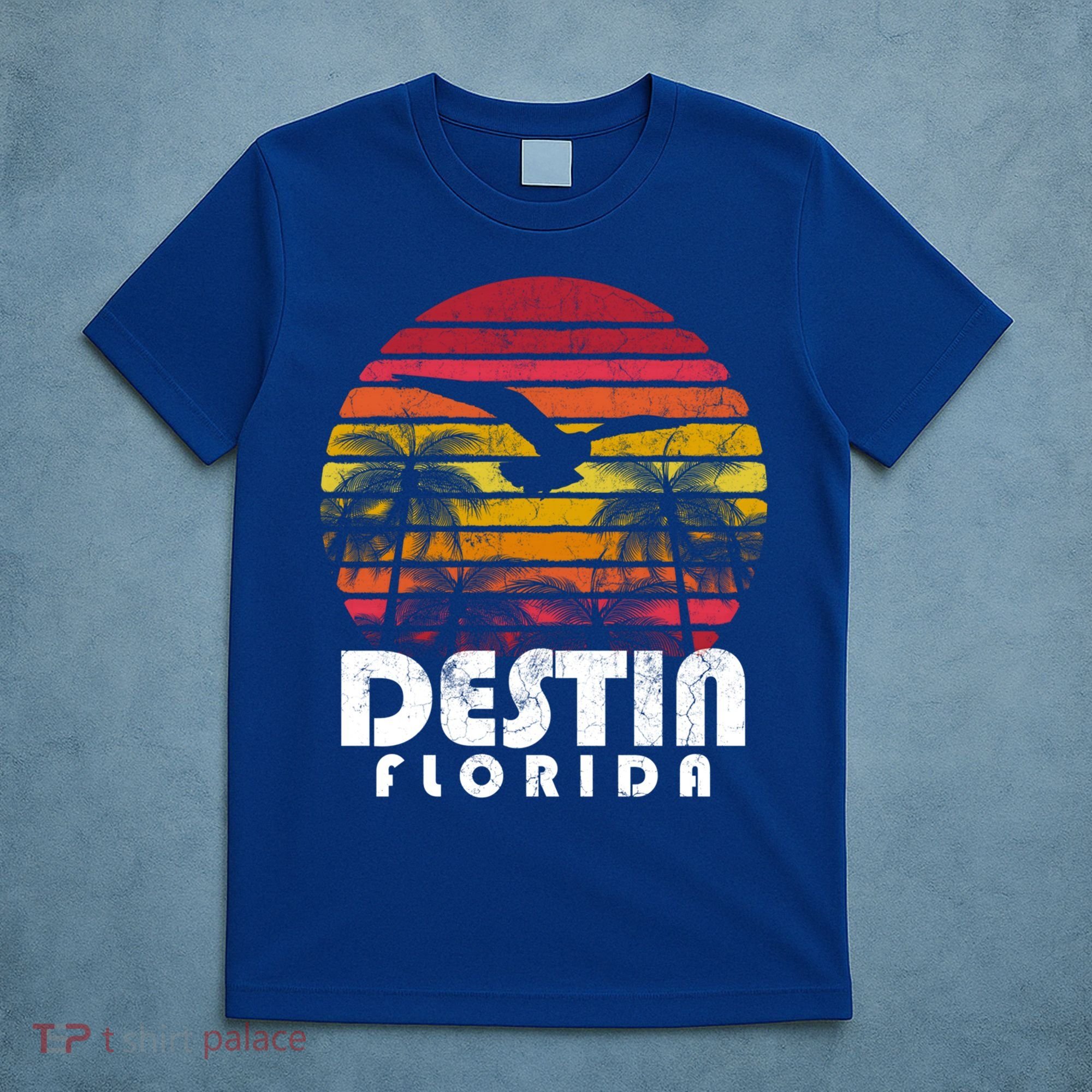 Destin Florida Fl Vintage Retro 70's 80's Style Meaningful Gift T-Shirt