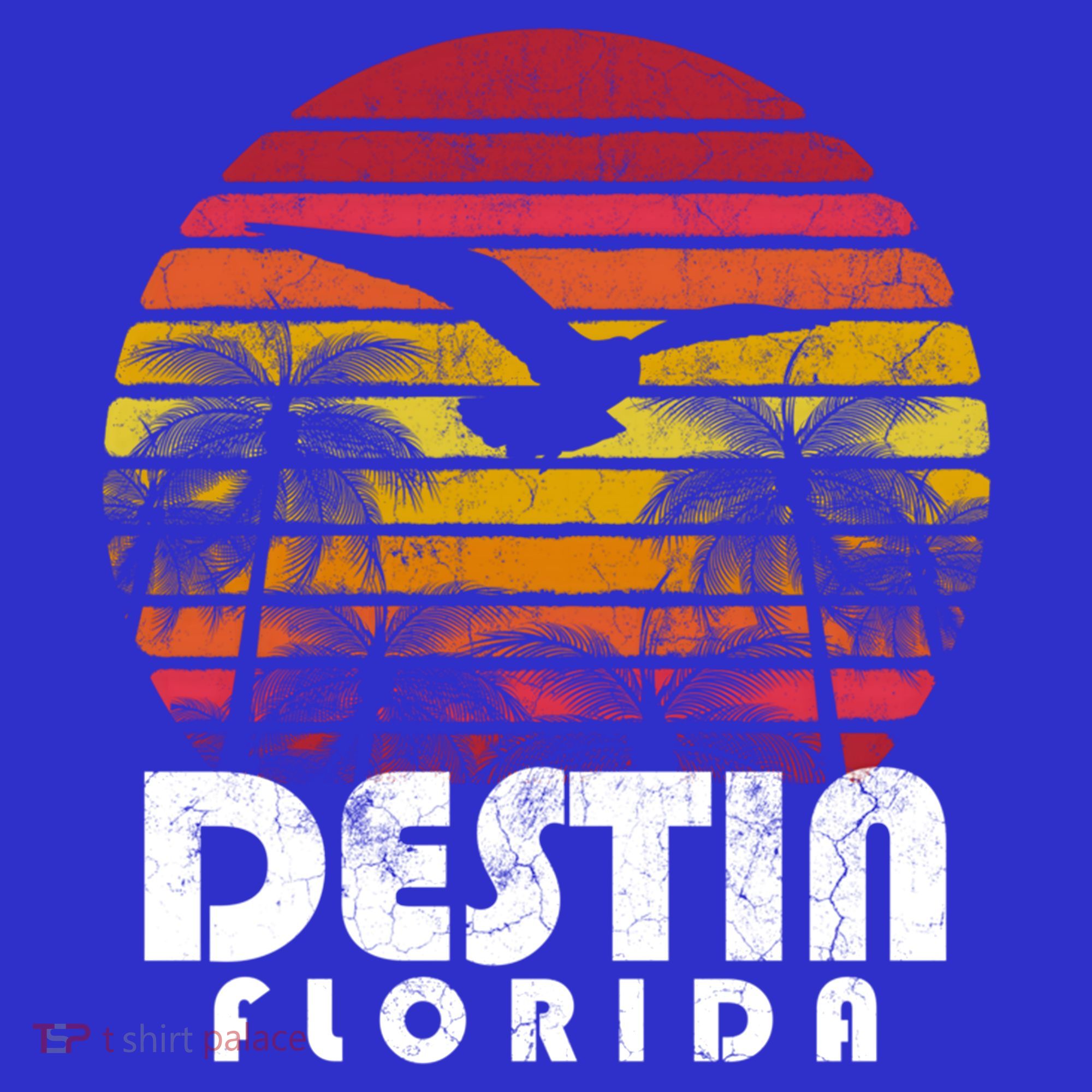 Destin Florida Fl Vintage Retro 70's 80's Style Meaningful Gift T-Shirt