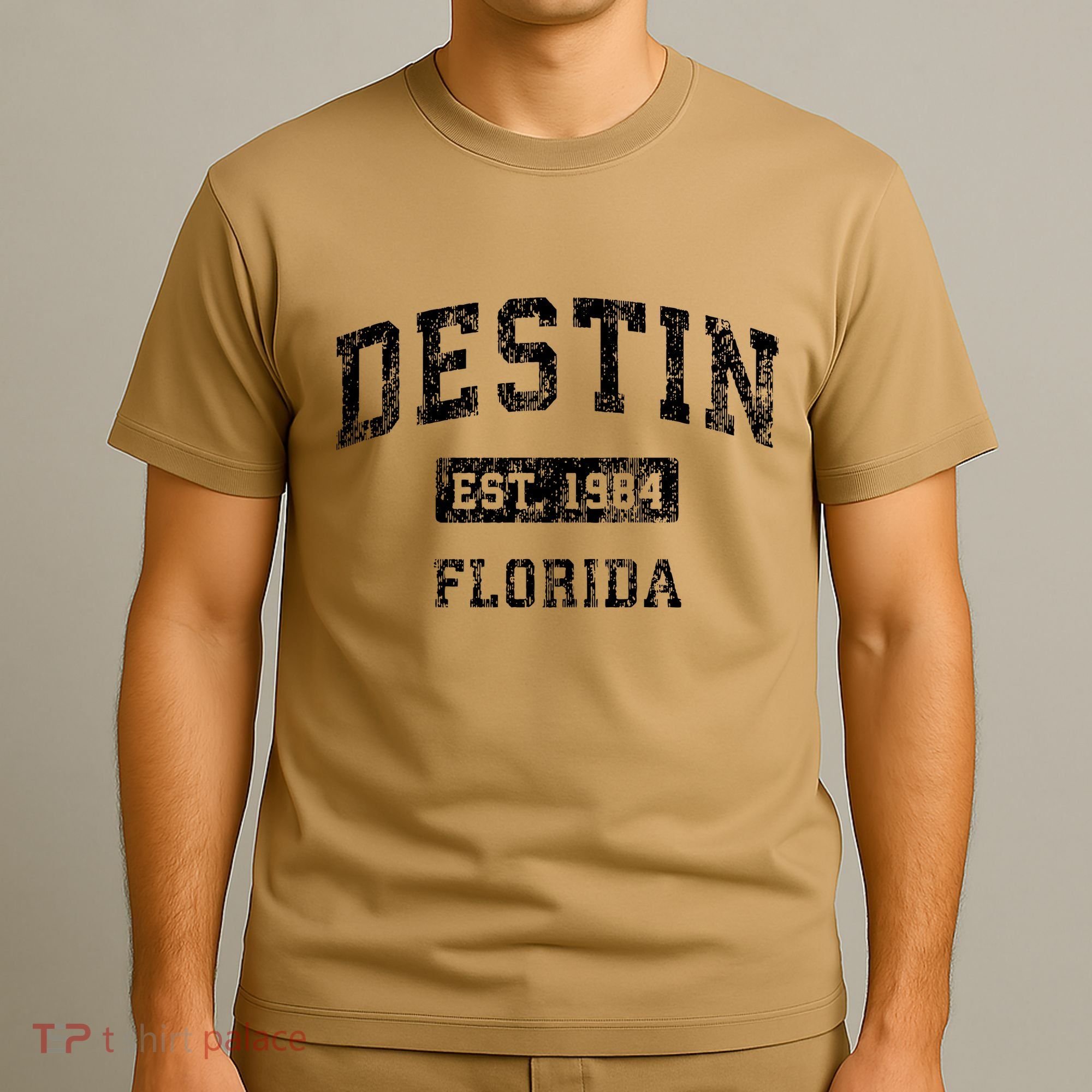 Destin Florida Fl Vintage Established T-Shirt