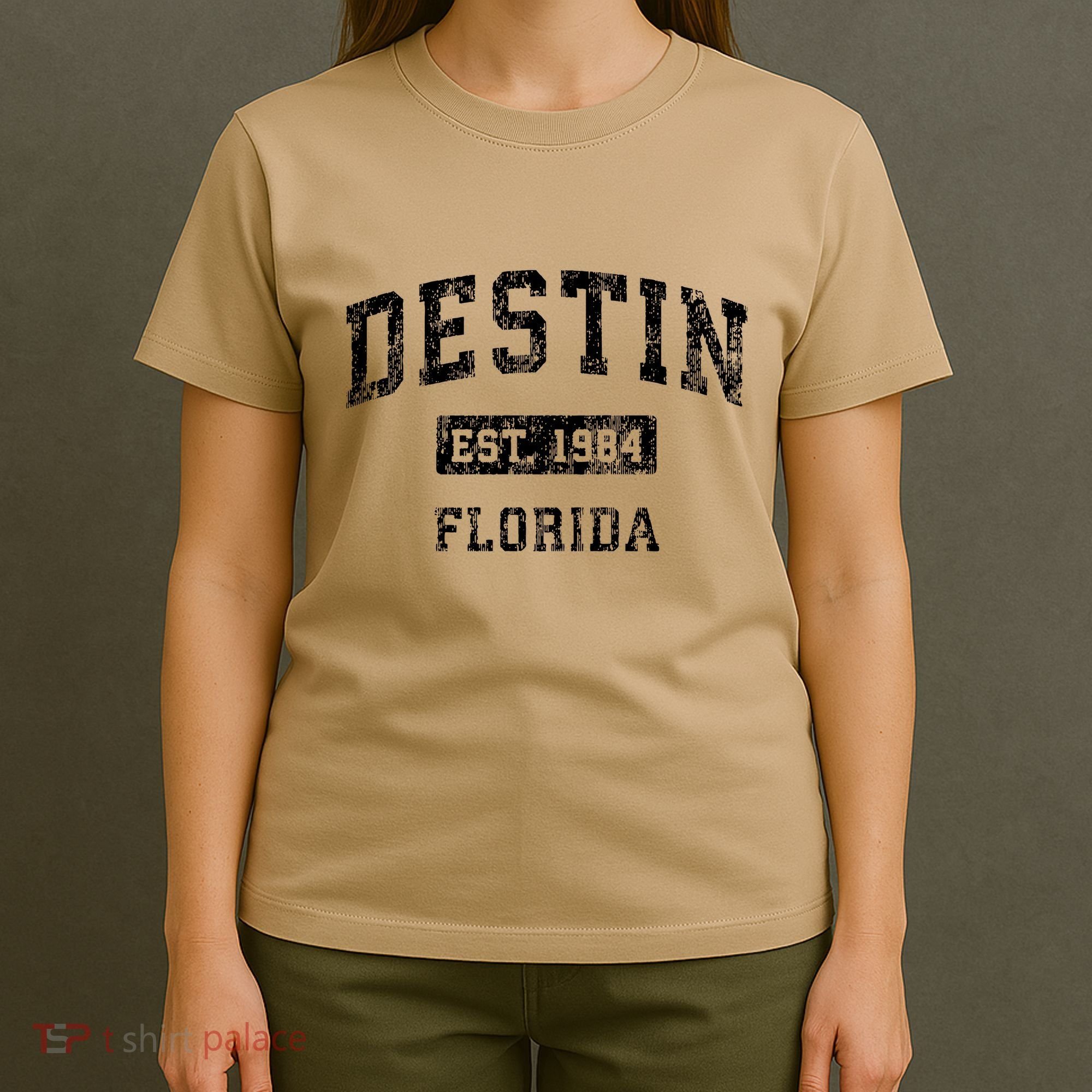 Destin Florida Fl Vintage Established T-Shirt