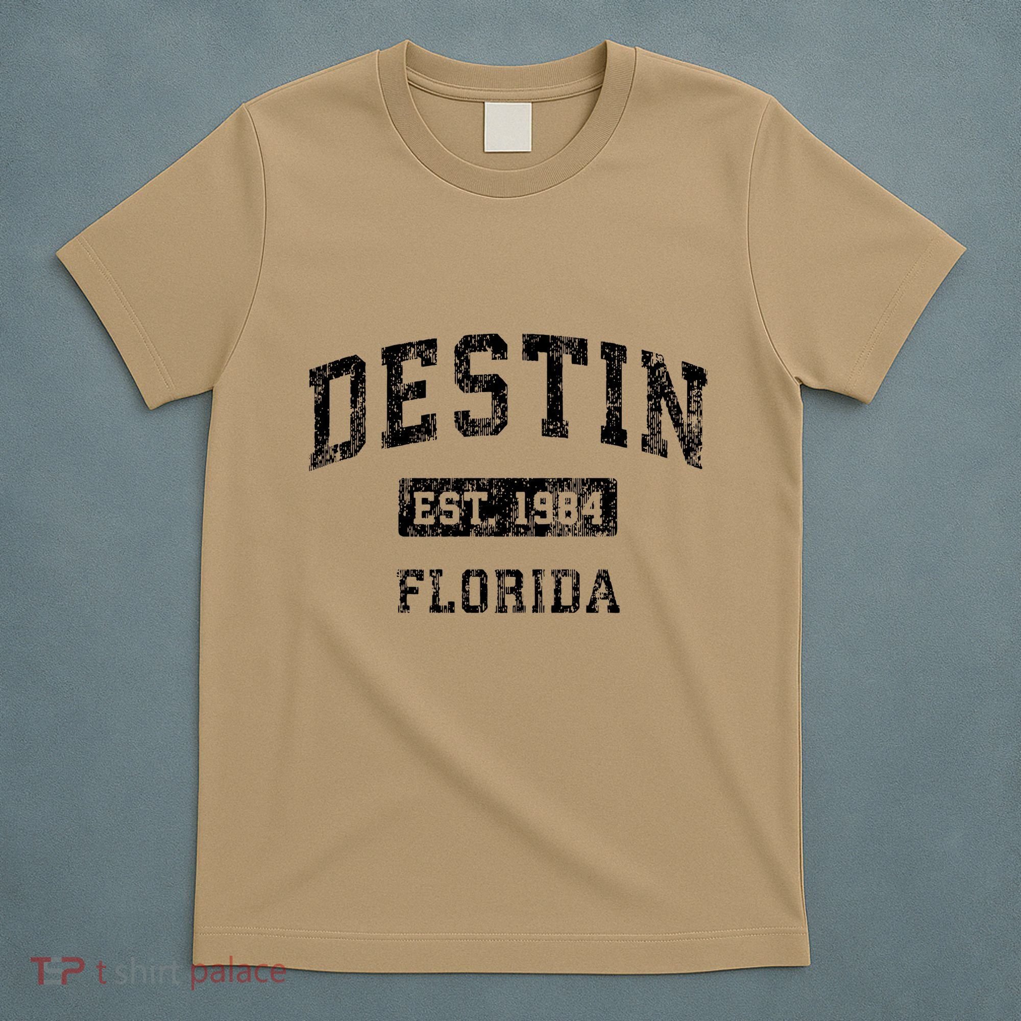 Destin Florida Fl Vintage Established T-Shirt