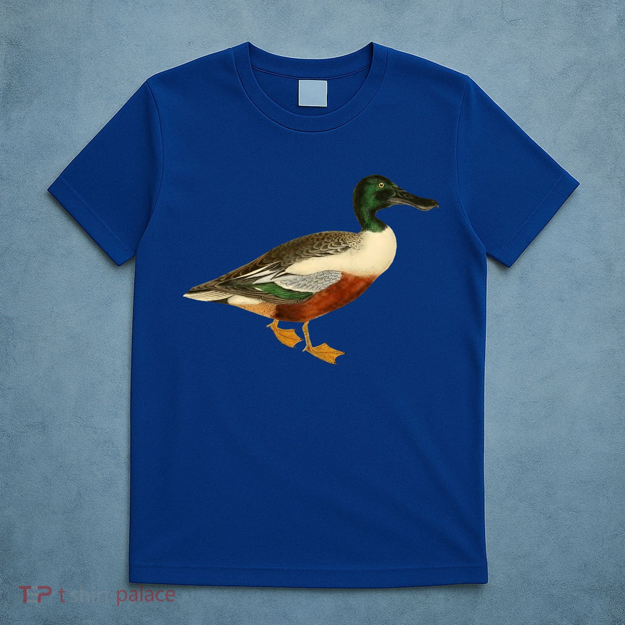 Duck Funny Gift Cute Shoveler Duck Vintage Duck Graphic Gift T-Shirt