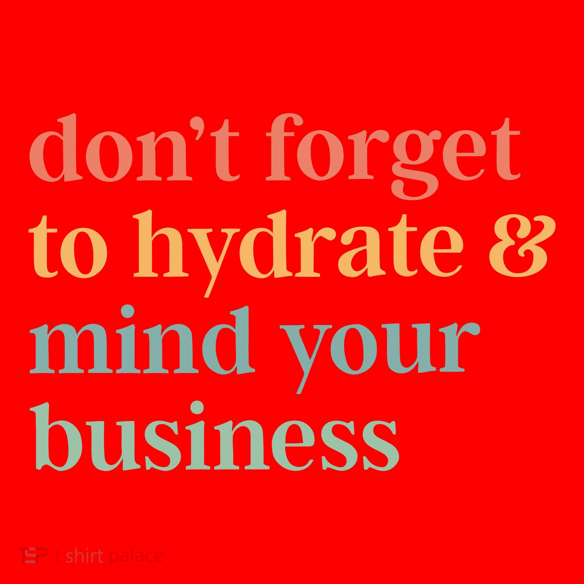 DonT Forget To Hydrate And Mind Your Business Santa Hat