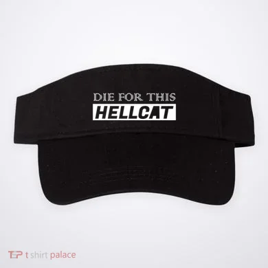 Visor