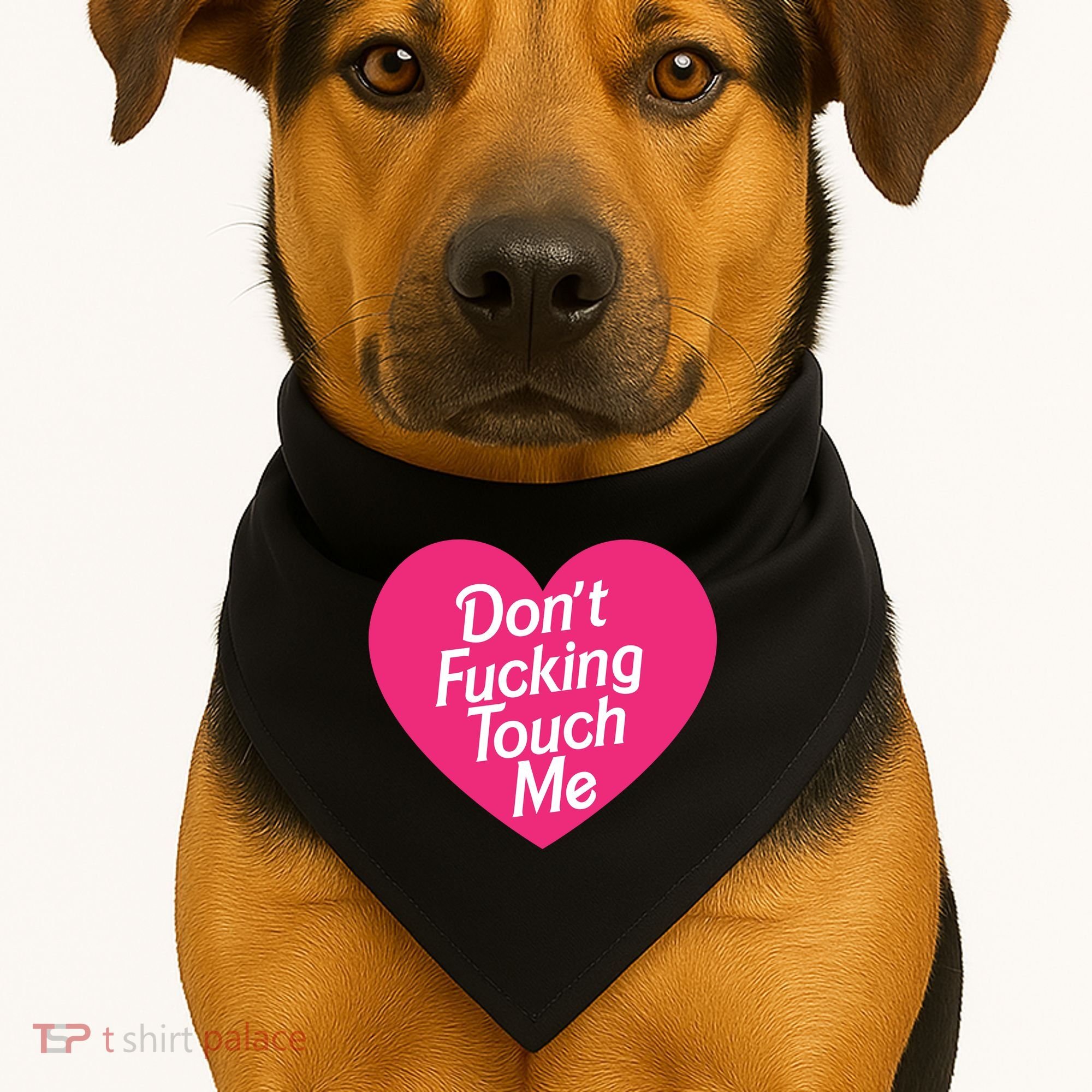 Don't Fucking Touch Me USA-Made Doggie Bandana