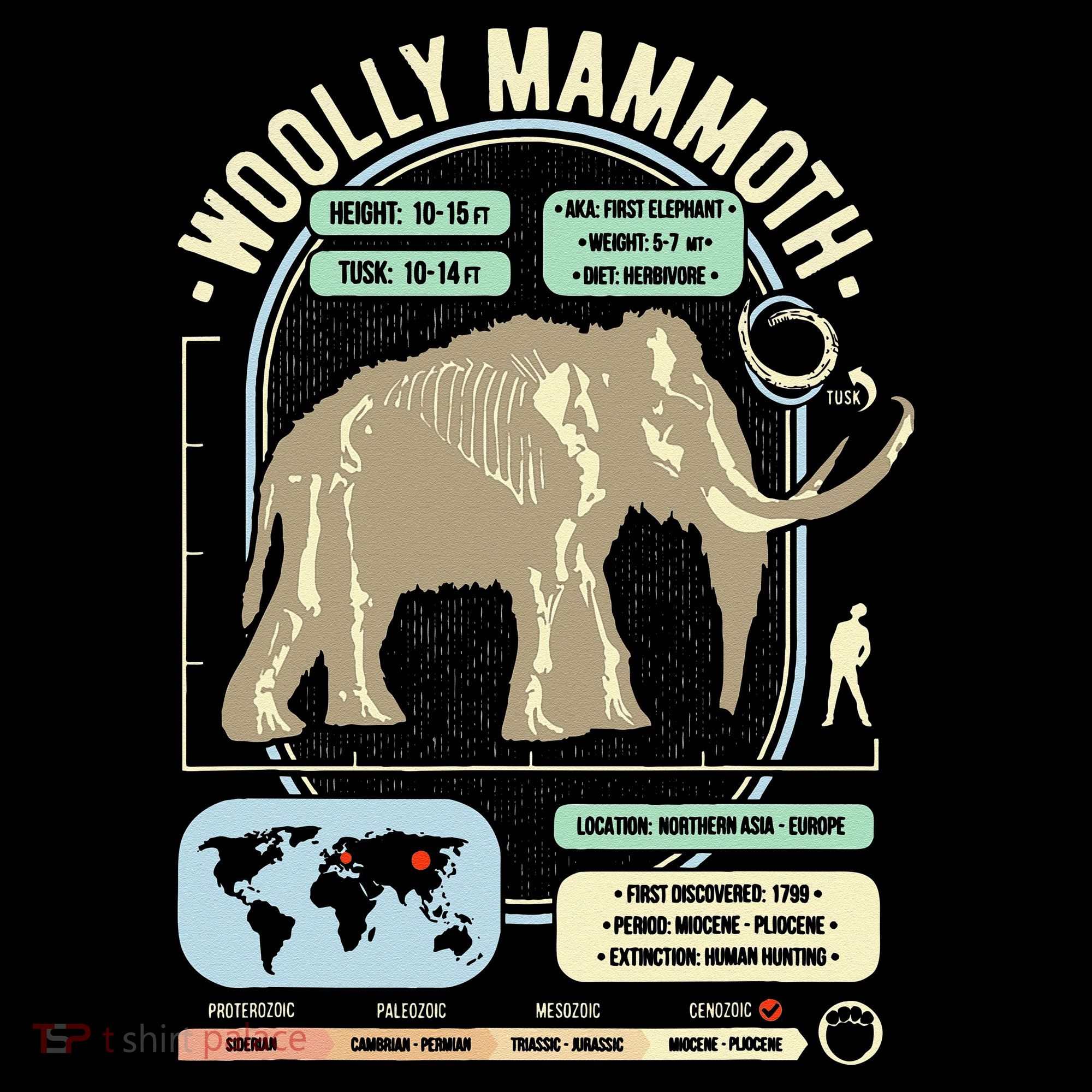 Dinosaur Facts Woolly Mammoth Science & Anatomy Gift Women's Hoodie