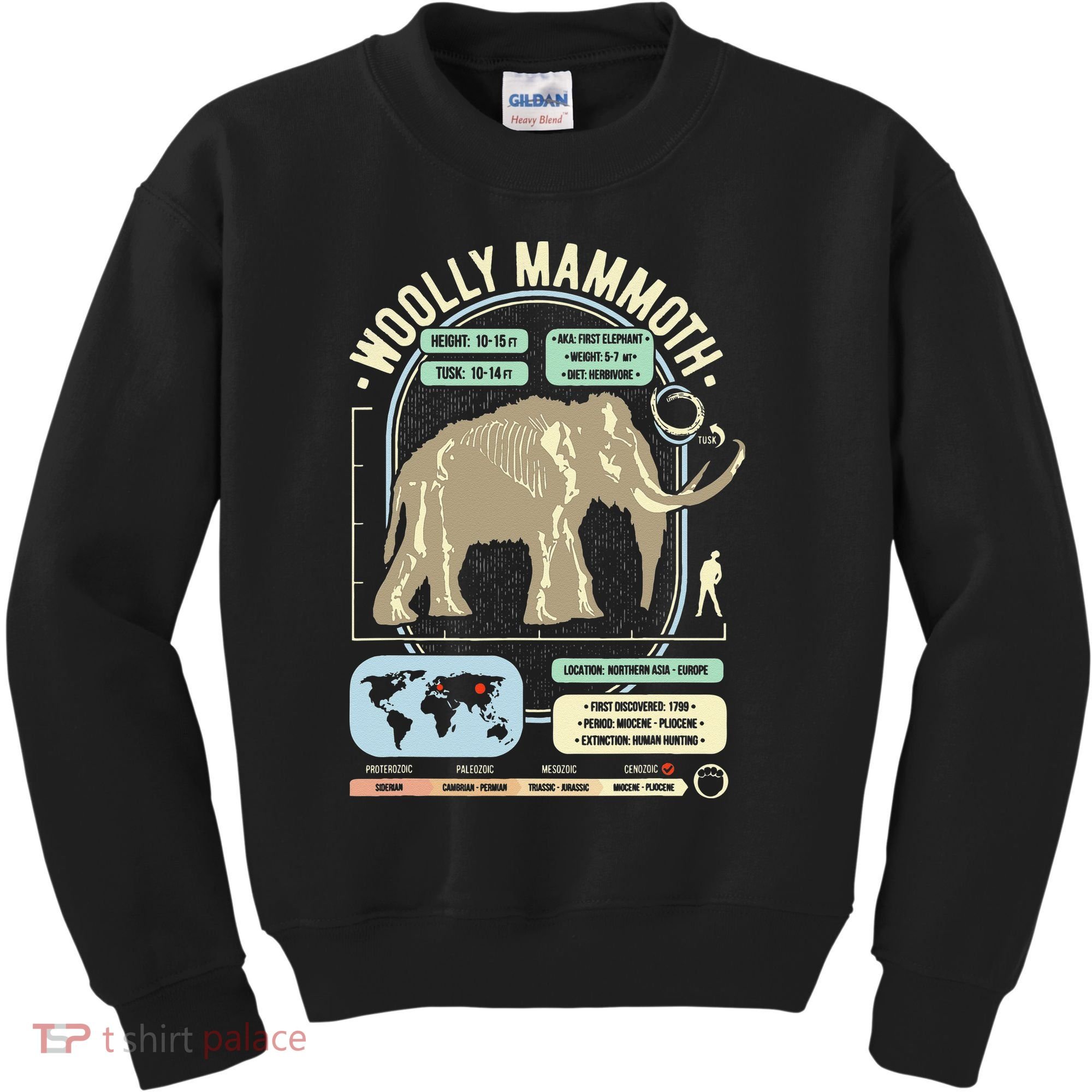 Dinosaur Facts Woolly Mammoth Science & Anatomy Gift Kids Sweatshirt
