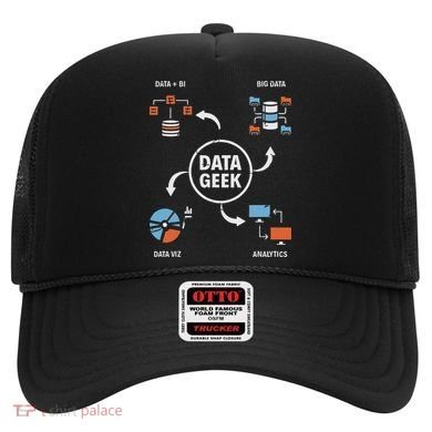 Data Geek Data Scientist Science Statistics Data Analyst Hat