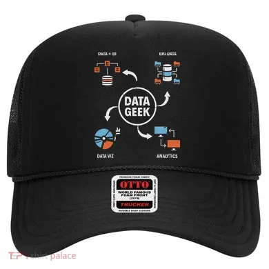 Data Geek Data Scientist Science Statistics Data Analyst Hat