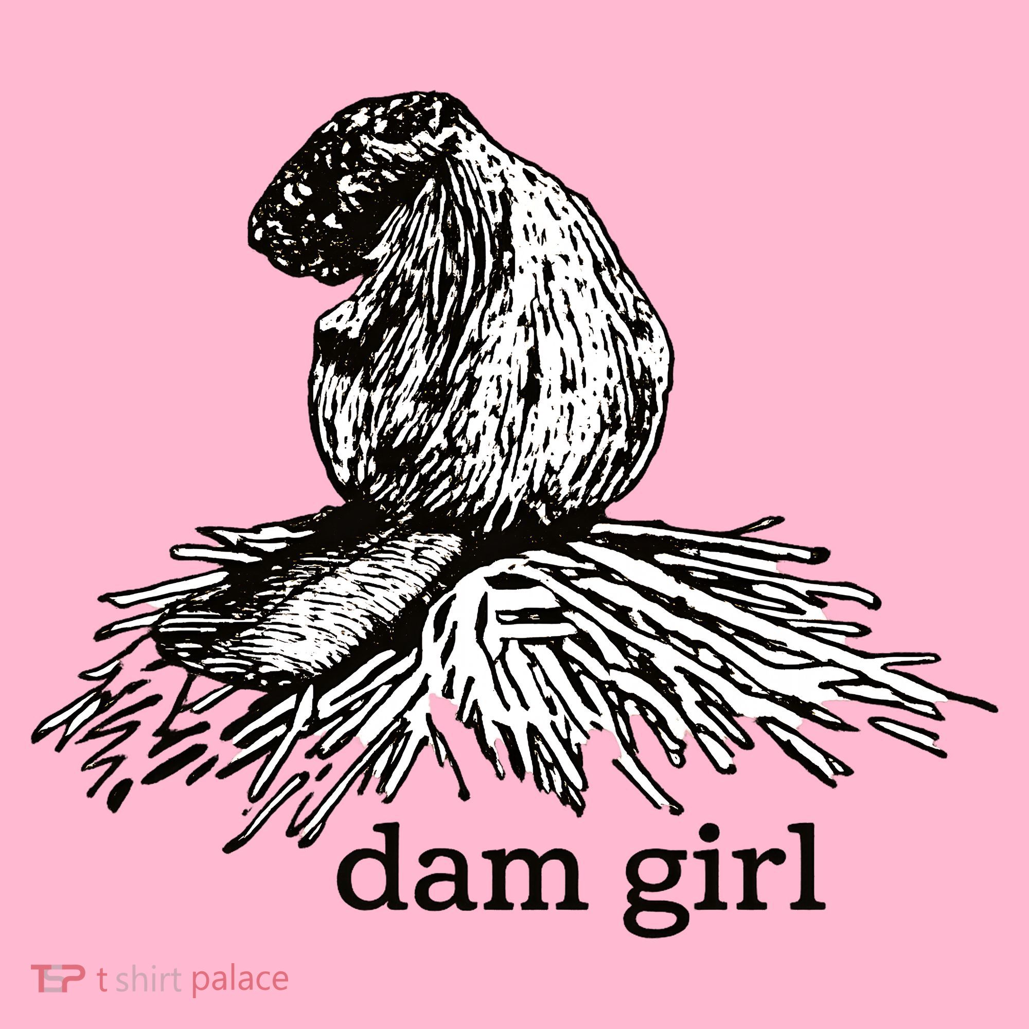 Dam Girl Funny Beaver Meme Coaster