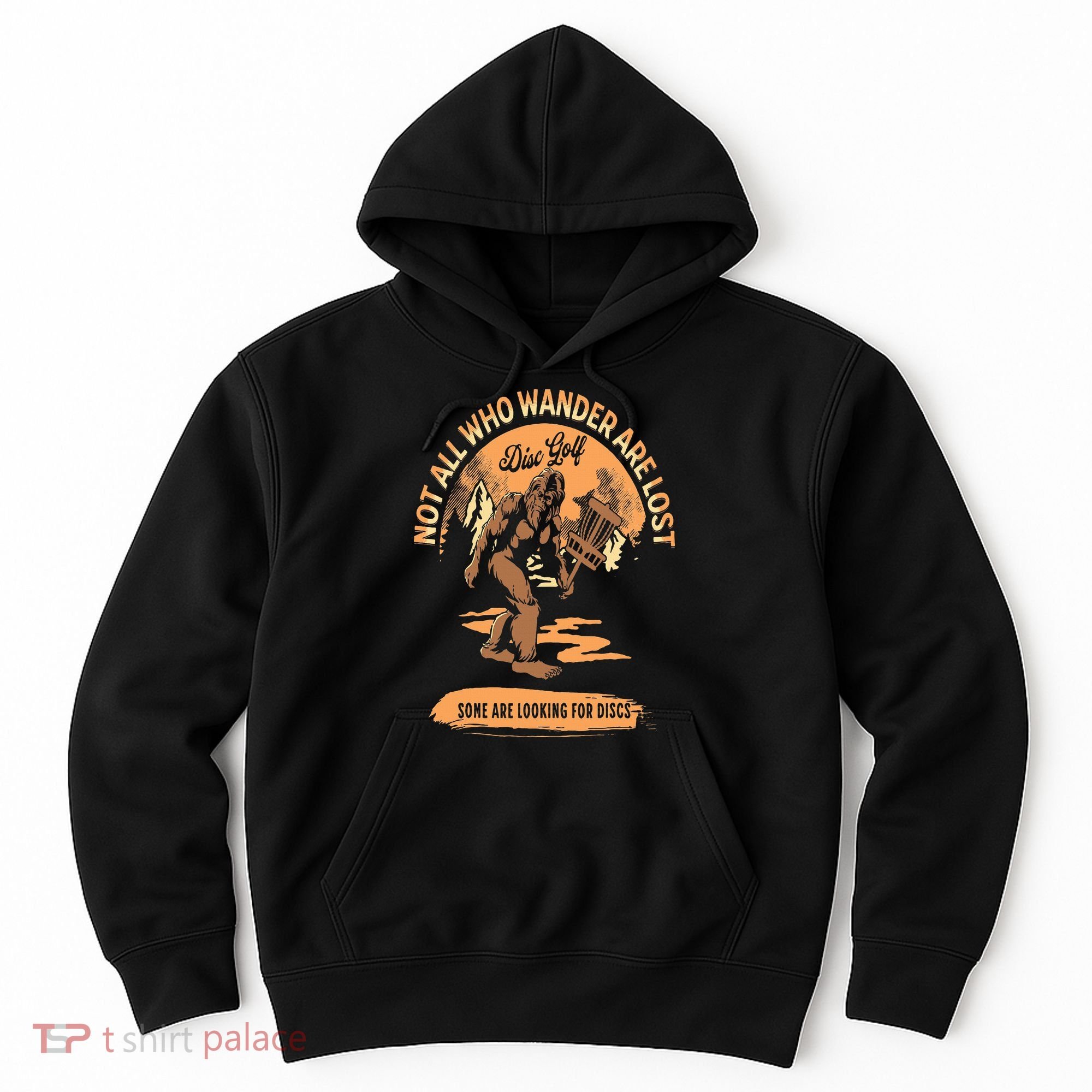 Disc Golf  Not All Who Wander Are Lost Funny Sarcastic Hoodie